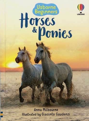 Usborne Beginners Horses and Ponies